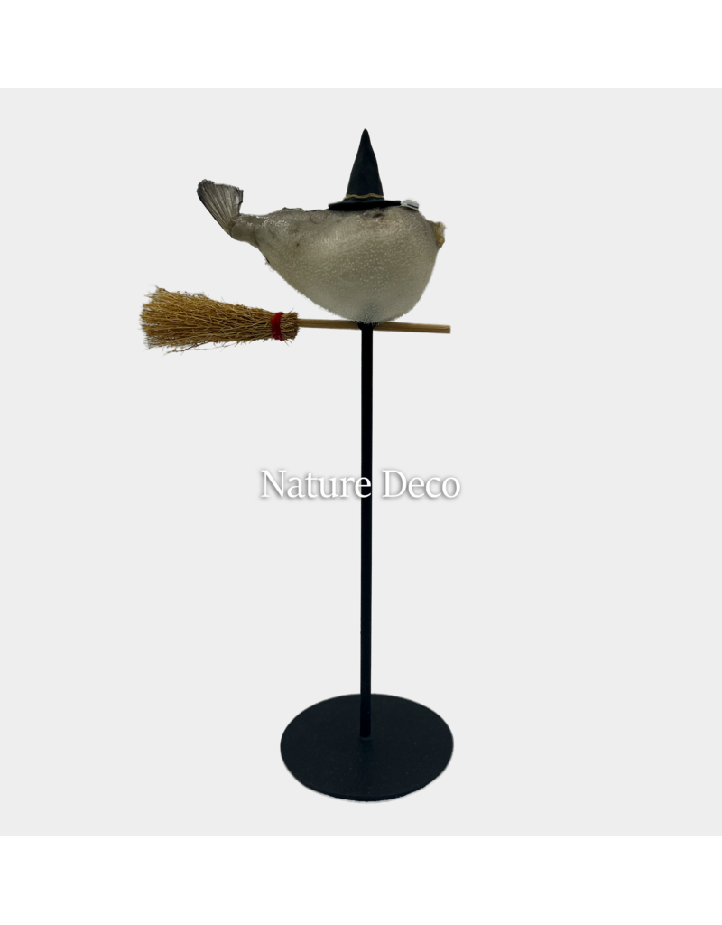 Nature Deco Heks puffer vis op standaard