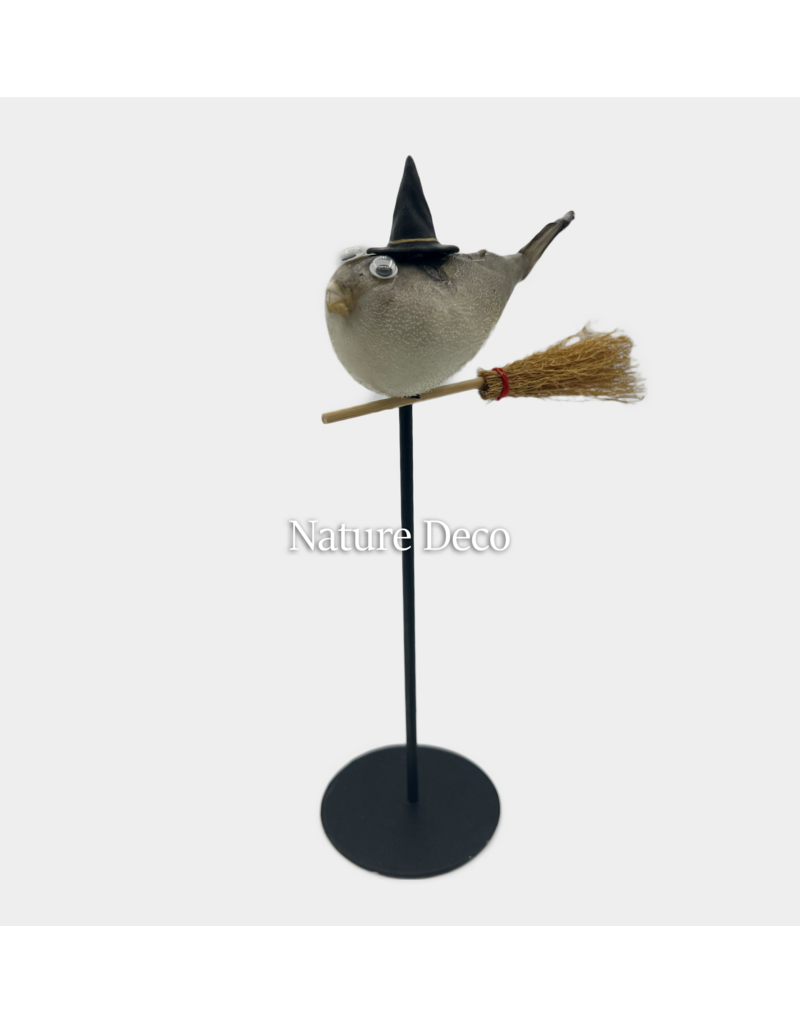 Nature Deco Witch pufferfish on a stand