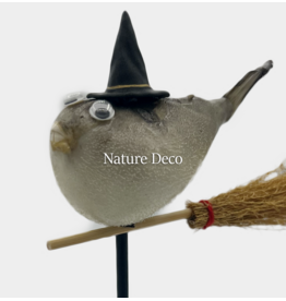 Nature Deco Witch pufferfish on a stand