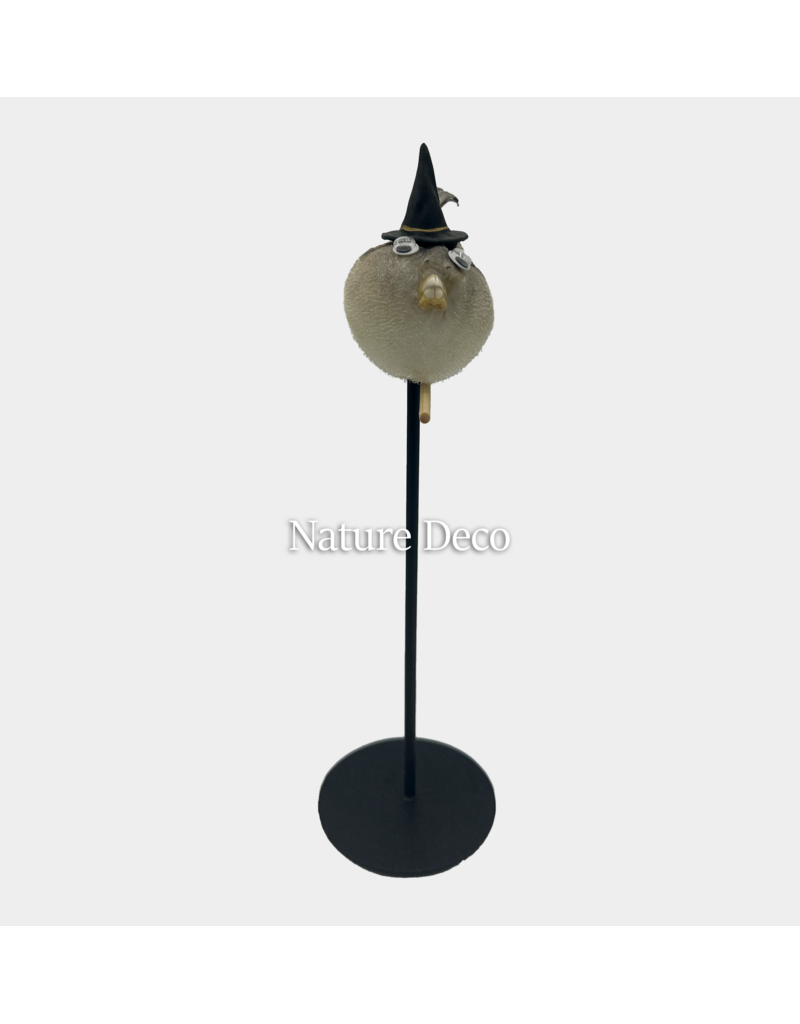 Nature Deco Witch pufferfish on a stand