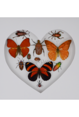 Nature Deco Valentine's Day special: Insects and butterflies in a heart shape in a luxurious 3D frame 22x 22cm