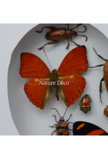 Nature Deco Valentine's Day special: Insects and butterflies in a heart shape in a luxurious 3D frame 22x 22cm