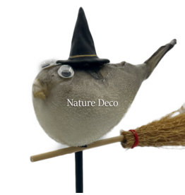 Nature Deco Witch pufferfish on a stand