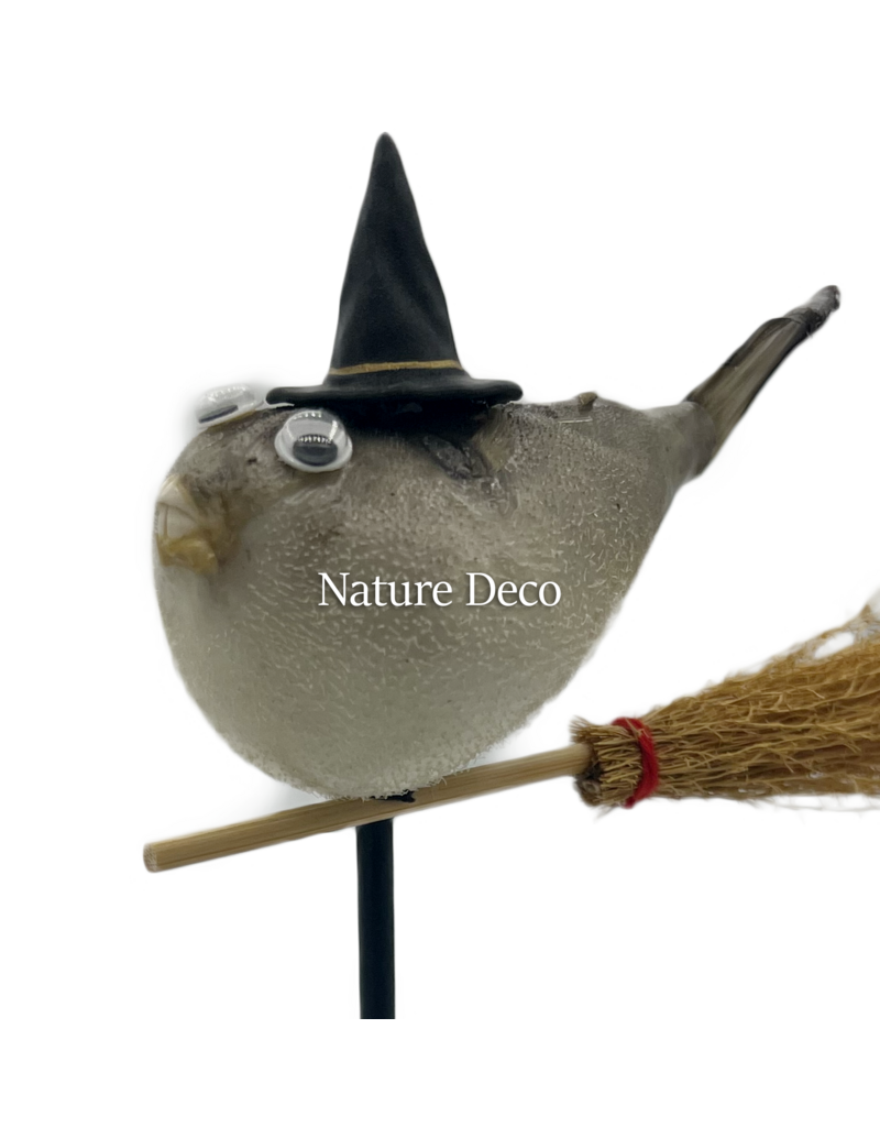 Nature Deco Witch pufferfish on a stand