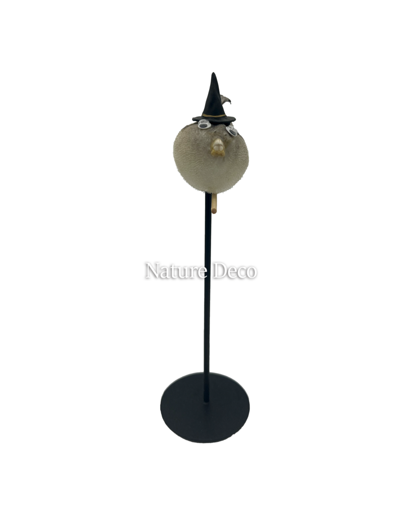 Nature Deco Witch pufferfish on a stand