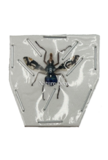 . Unmounted / dried Diptera sp.