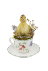 . Duckling in teacup #2 14 x 14 x 16 cm