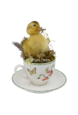 . Duckling in teacup #2 14 x 14 x 16 cm