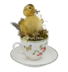 . Eenden kuiken in theekopje #2