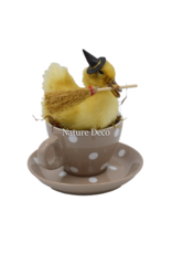 . Duckling in teacup #3 16 x 16 x 13 cm