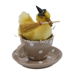 . Duckling in teacup #3
