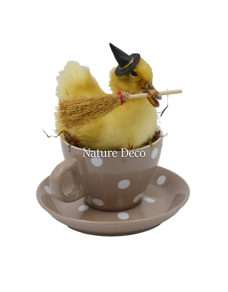 . Duckling in teacup #3 16 x 16 x 13 cm