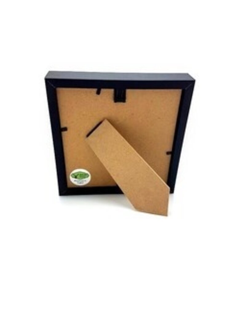 Nature Deco Anaea Glauone in luxe 3D lijst 17 x 17cm