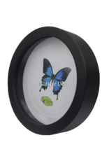 Nature Deco Extra diep luxe 3D lijst cirkel Ø22cm x 4,5cm