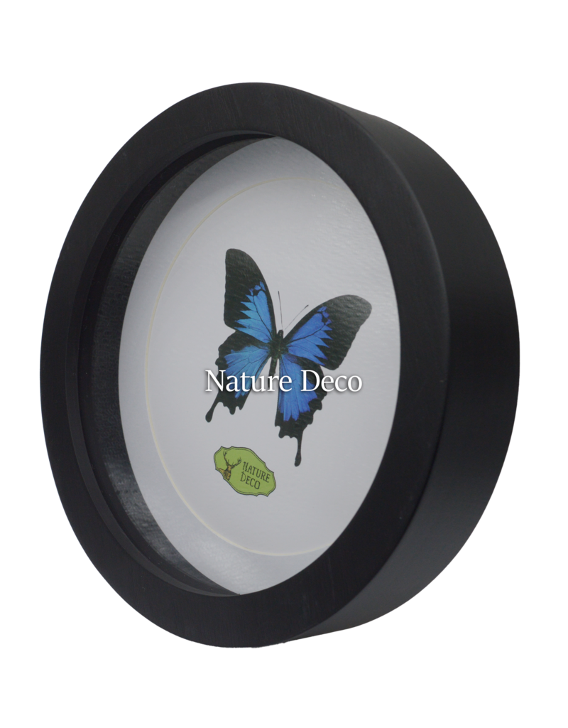 Nature Deco Extra deep luxury 3D frame circle Ø22cm x 4.5cm