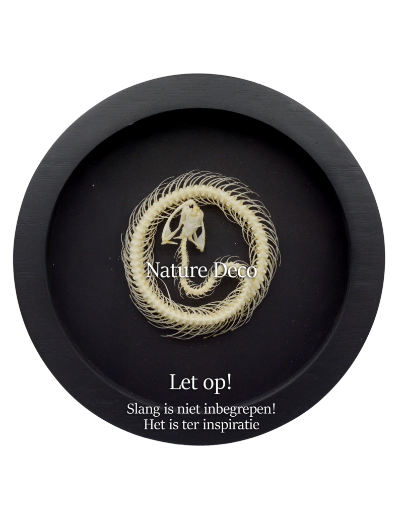 Nature Deco Extra deep luxury 3D frame circle Ø22cm x 4.5cm