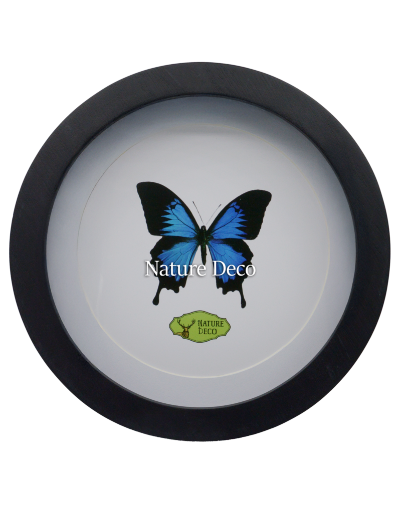 Nature Deco Extra diep luxe 3D lijst cirkel Ø22cm x 4,5cm