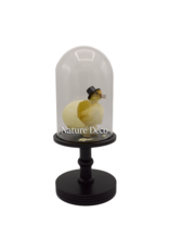 Nature Deco Meneer eend in zwarte stolp op voet Ø17cm x 40cm