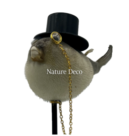 Nature Deco Meneer puffer vis op voet