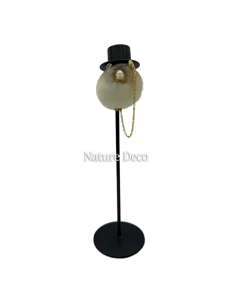 Nature Deco Mr. pufferfish on foot