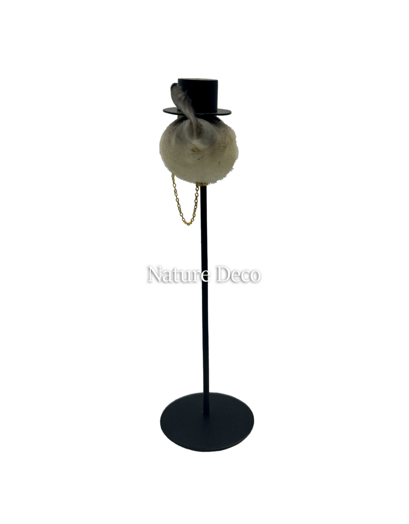 Nature Deco  Meneer puffer vis op voet