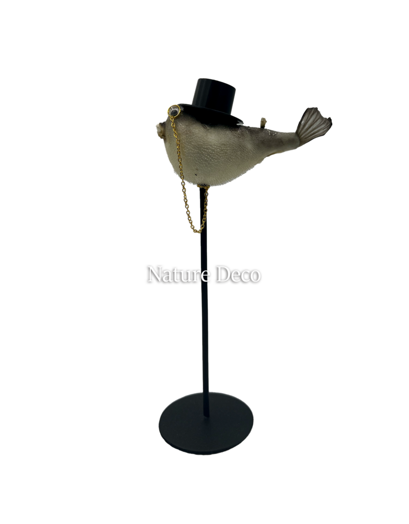 Nature Deco Mr. pufferfish on foot
