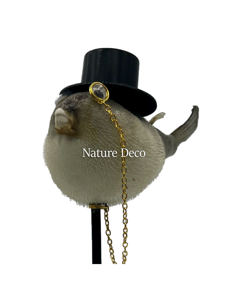 Nature Deco  Meneer puffer vis op voet