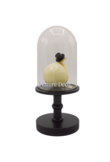 Nature Deco Mr. Duck under a black glass dome on a pedestal Ø17cm x 40cm