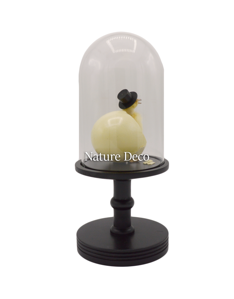 Nature Deco Meneer eend in zwarte stolp op voet Ø17cm x 40cm