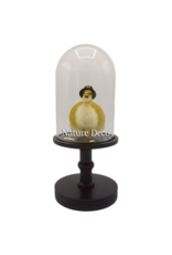 Nature Deco Mr. Duck under a black glass dome on a pedestal Ø17cm x 40cm
