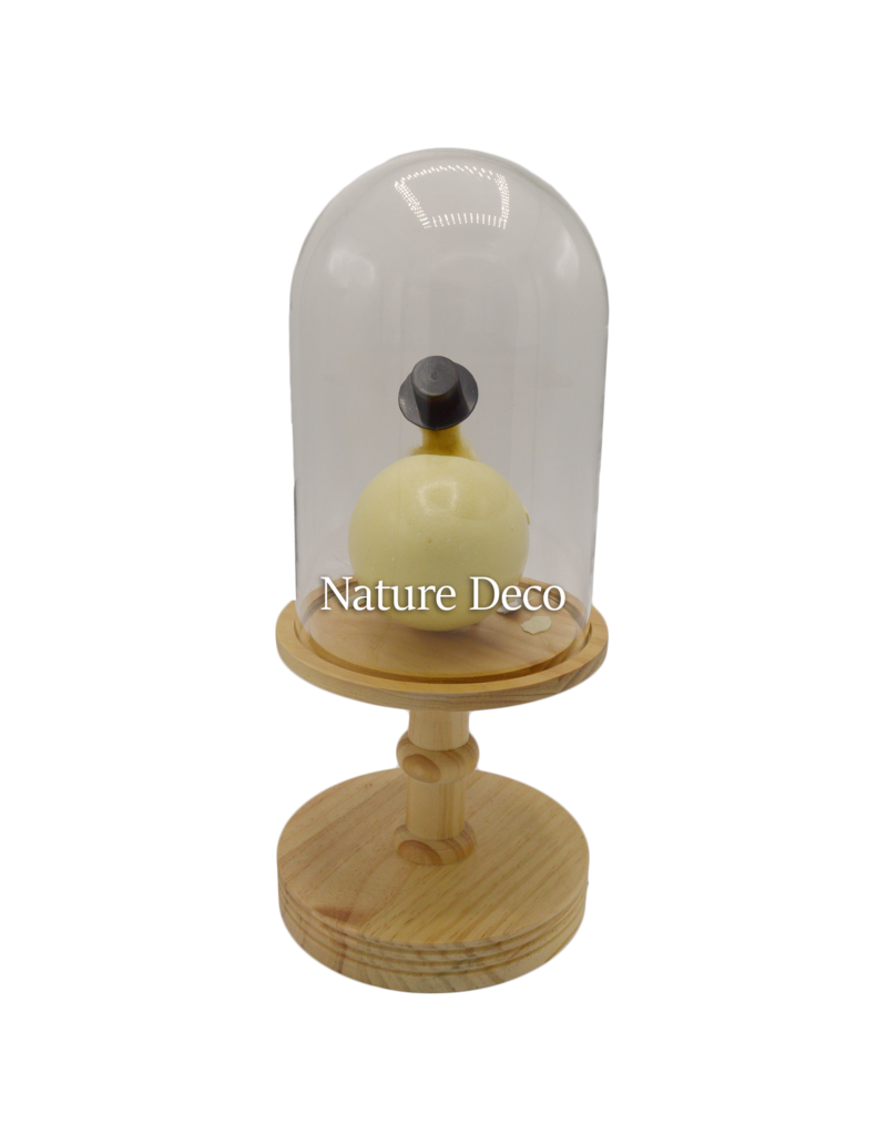 Nature Deco Meneer eend in blanco stolp op voet Ø17cm x 40cm