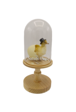 Nature Deco Mister Duck in a blank dome on a stand Ø17cm x 40cm