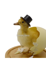 Nature Deco Mister Duck in a blank dome on a stand Ø17cm x 40cm