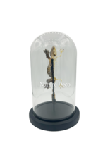 Nature Deco Gecko half mounted - half skeleton in glass dome 13 x 21 cm