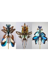 Lot insects for Cedric