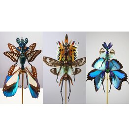 Lot insects for Cedric