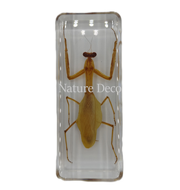 . Praying Mantis in resin 4 x 11 x 3 cm