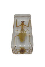 . Praying Mantis in resin 4 x 11 x 3 cm