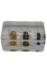 . Leaf beetle set of 3 in resin