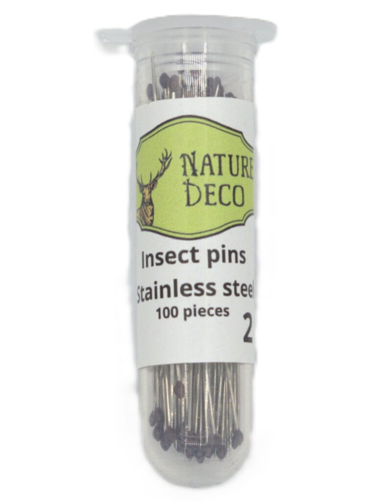 . Insect pins stainless steel 2