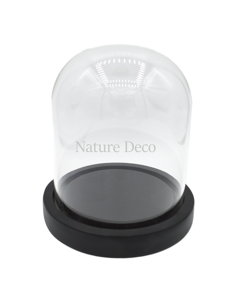 . Black Glass Dome Small 12.5 x 13 cm