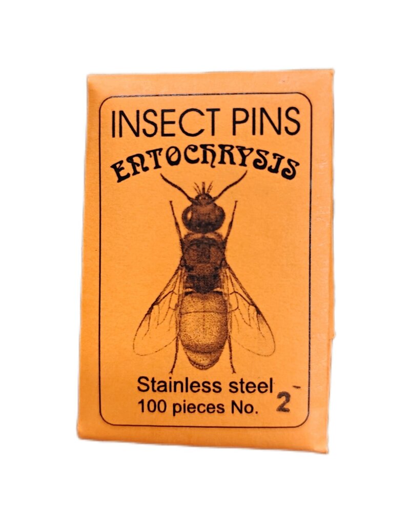 . Insect pins stainless steel 2 - Entochrysis