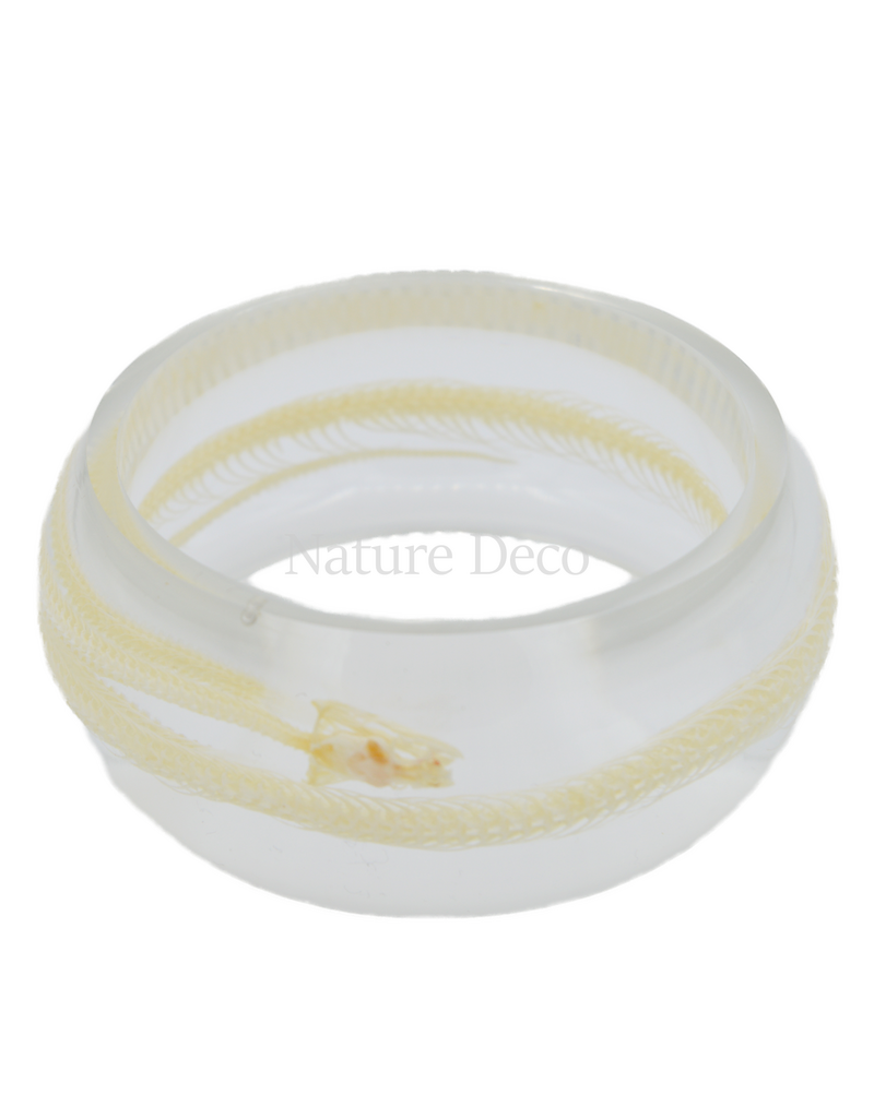 . Snake bracelet in resin clear