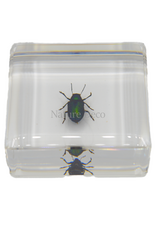 . Green shining beetle in resin 4 x 4 x 1.5 cm