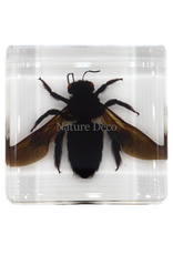 . bamboo bee in resin