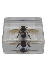 . Honey bee in resin 4 x 4 x 1.5 cm