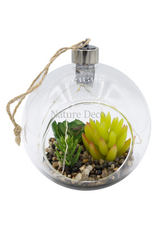 . Hanging Terrarium #1