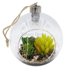 . Hanging Terrarium #1