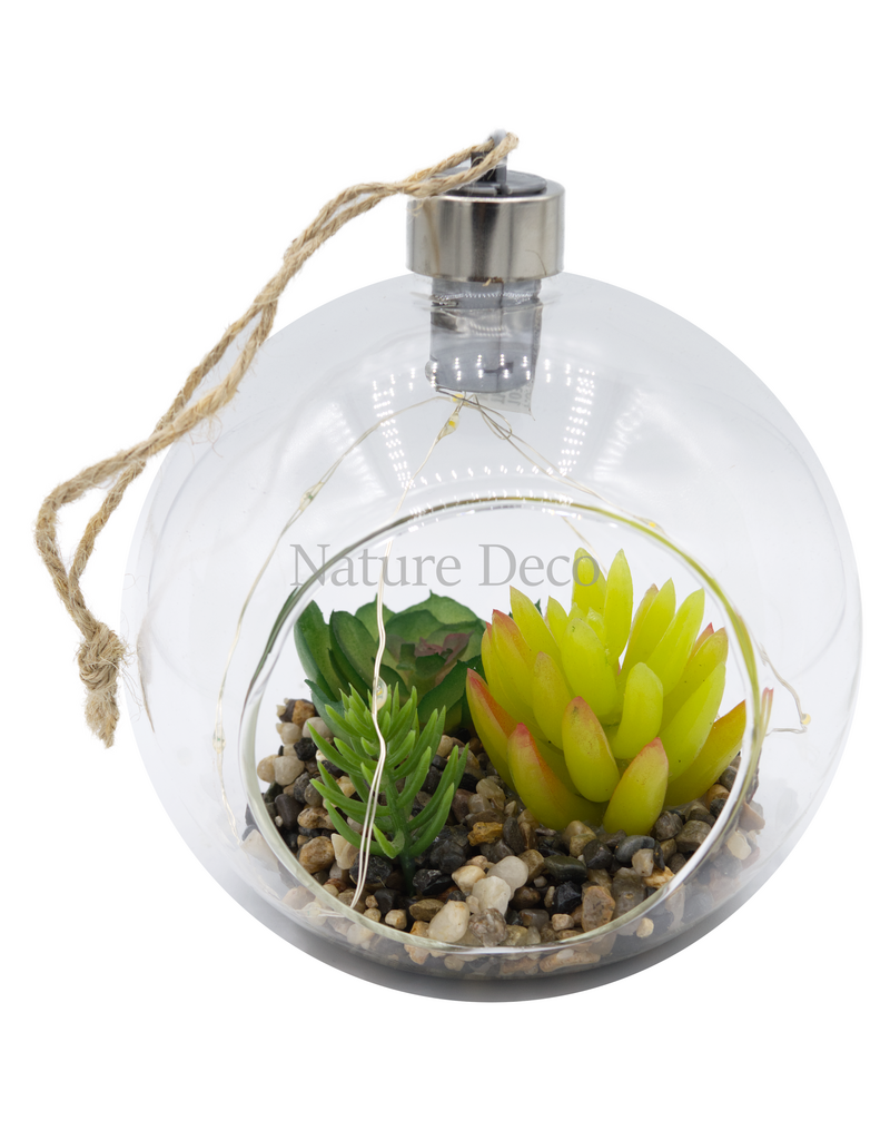 . Hanging Terrarium #1