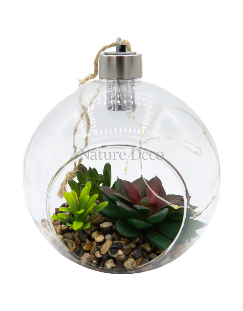 . Hanging Terrarium #2